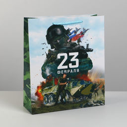 Цена за 2 шт. Пакет подарочный ламинированный, упаковка, «С 23 февраля», M 26×30×9 см