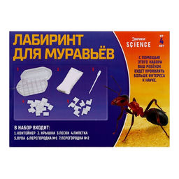 Набор для опытов Лабиринт для муравьёв - Эврики фото 11