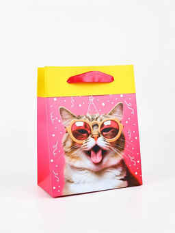 Цена за 2 шт. Пакет ламинированный двухсторонний «Котик», MS 18×23×10 см