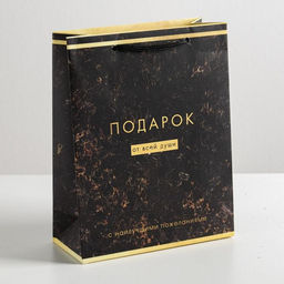 Цена за 2 шт. Пакет подарочный ламинированный, упаковка, «От всей души», MS 18×23×8 см
