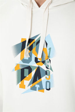 Мужская толстовка с камнем - U.s. polo assn фото 14