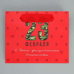 Цена за 3 шт. Пакет подарочный ламинированный, упаковка, С 23 февраля, S 15?12?5.5 см