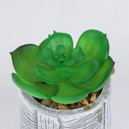 Цветочная композиция Кактус / WER-22 /уп 12/192/ микс - Галеонтрейд фото 19