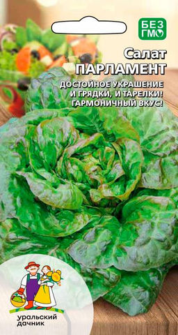 Салат ПАРЛАМЕНТ  Тип ромэн, очень вкусный!