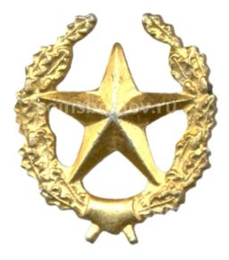 Значок Эмблема Общевойсковая Звезда