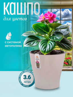 ee49aa56c030ce22c21dde49a897c9916ce3rccjmlh0h1cr