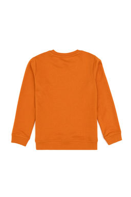 Erkek _ocuk Bak_r Bisiklet Yaka Basic Sweatshirt Sepette S_rpriz _ndirim - U.s. polo assn фото 5