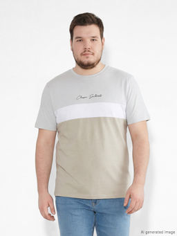 Bisiklet Yaka Renk Bloklu Penye Erkek Ti??rt