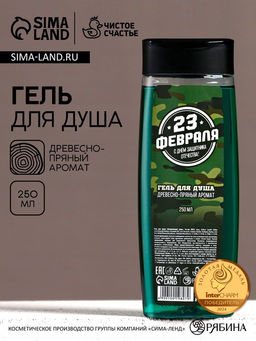 Гель для душа С 23 Февраля!, 250 мл, аромат древесно-пряный, Чистое счастье