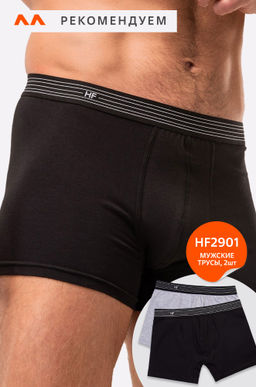 Трусы для мальчика Happy Fox  фото 4