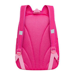 RG-663-13 Рюкзак школьный с обвесом - Grizzly фото 24