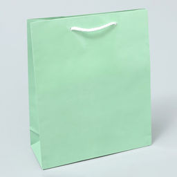 Пакет ламинированный Зелёный, ML 21 х 25 х 8 см - Доступные радости фото 4