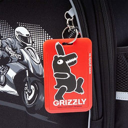 RAz-587-15 Рюкзак школьный - Grizzly фото 22