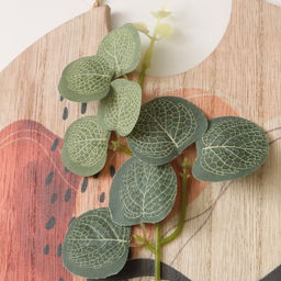 Настенные крючки декоративные Абстракция. Фрукт. Цветок, дерево, 1.5?23.4?22.5 см