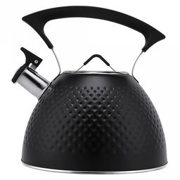 Чайник из нержавеющей стали "Linea Tea" 3л, д22,5см, h24см, со свистком, многослойное капсульное дно, нескользящая ручка, цветная коробка, "Regent" (Китай) Подходит для всех видов плит, включая индукционную