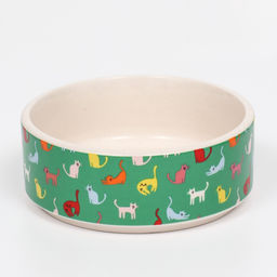 Миска керамическая Котэ 200 мл - 10.510.54 см, зелёная/белая - Пижон фото 2