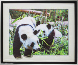 Картина 5D 40х50 807 Панды/ 2002B-012C /