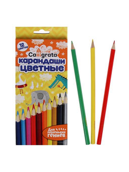Карандаши Calligrata цветные, 12 цветов, деревянные, трёхгранные, в картонной коробке