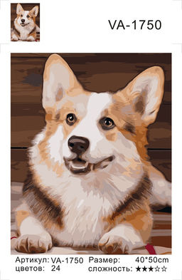 Картина по номерам на холсте и подрамнике 40х50 см