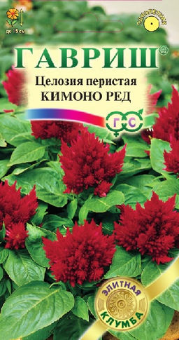 Кимоно Ред целозия перистая 8шт (г)