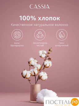 Пододеяльник на молнии CASSIA ЛЮКС Страйп Сатин хл/сатин сер  фото 3