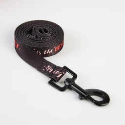 Поводок My dog is the best, 2 см, 1.5 м - Пушистое счастье фото 3