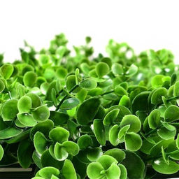 Трава искусственная 50x50 см / KN-184 /уп 40/ - Галеонтрейд фото 4