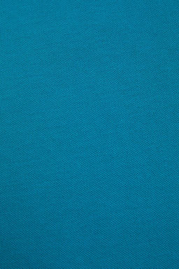 Erkek Slim Fit Polo Yaka Petrol Basic Ti__rt