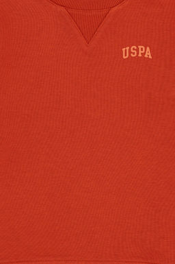 Базовый свитшот Tile для мальчиков Неожиданная скидка в корзине - U.s. polo assn фото 6