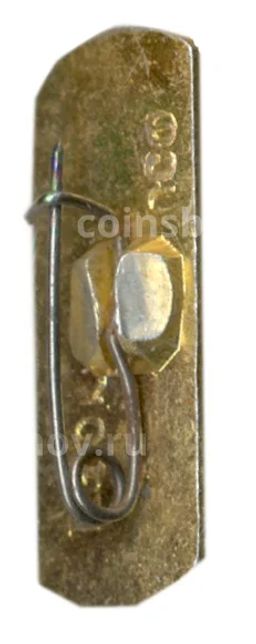 Значок Теберда