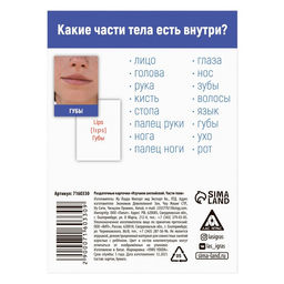 Раздаточные карточки Изучаем английский. Части тела, 3+ - Лас играс фото 2