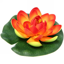 Цена за 5 шт. Растение водоплавающее "Кувшинка Розитта" d-15см оранжевая