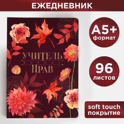 Большой ежедневник Учитель всегда прав, soft-touch, формат А5+, 96 листов, мягкая обложка, линейка