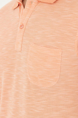 U. S. Polo Assn / Мужская футболка с лососем - U.s. polo assn фото 14