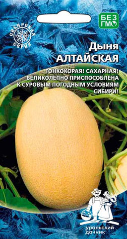 Дыня АЛТАЙСКАЯ  Хороша для условий Сибири! Тонкокорая! Сахарная!
