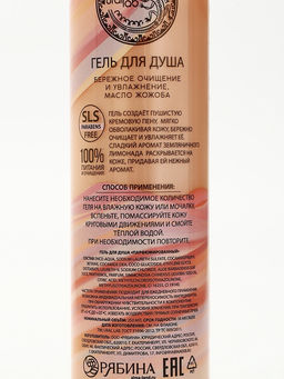 Подарочный набор NUDE MOOD, гель для душа и шампунь для волос, 2?250 мл, аромат карамели и земляники, URAL LAB  фото 9