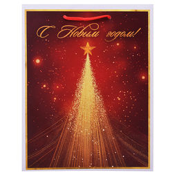 Бумажный пакет для сувенирной продукции с ламинацией,с шириной основания 17,8 cм.