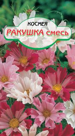 Ракушка, смесь космея 0,5г (ссс)