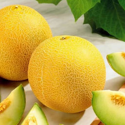 6197U Дыня Дина 5шт