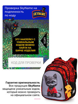 Рюкзак SkyName R2-220 + брелок мишка  фото 10
