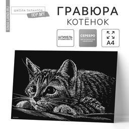 Гравюра «Котёнок» с металлическим эффектом, серебро, А4