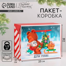 Цена за 2 шт. Пакет - коробка подарочный новогодний Для тебя, 23?18?11 см