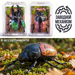 Жук "Стригун" в коробке