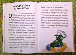 Эдди спасает Крумпфбург. Самый смелый тролль (ил. Б. Кортуэс) (#5)