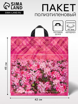 Цена за 25 шт. Пакет Рапсодия, полиэтиленовый с петлевой ручкой, 42?45 см, 45 мкм