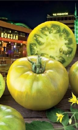 Томат СЛАДКИЙ ЧЕЛЯБИНСК F1  Неистовый взрыв вкуса и максимум пользы! Изумрудно-зелёные гиганты с лимонным отливом удивят всю семью! Сахарный!