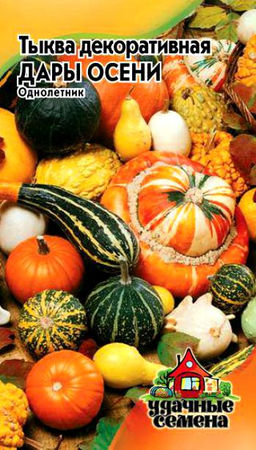 Тыква Дары осени декоративная 0,5гр (г)