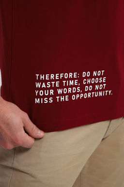 Футболка мужская 052