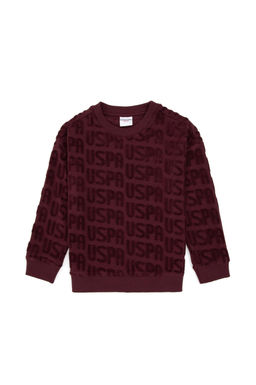 Erkek _ocuk Bordo Bisiklet Yaka Sweatshirt - U.s. polo assn фото 2