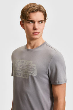 Erkek Regular Fit Bisiklet Yaka Gri Ti__rt
